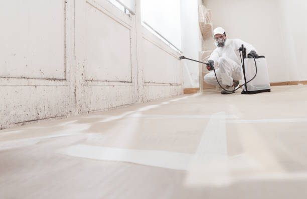 24/7 Emergency Mold Inspection experts in Lewisville, TX