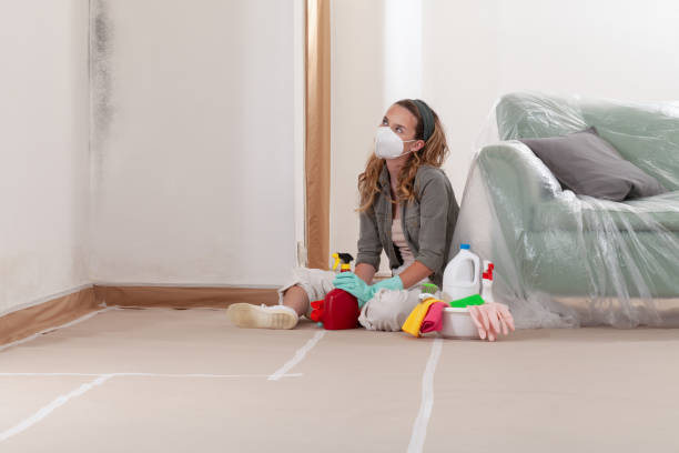Reliable Mold Remediation contractor in Lewisville, TX by Cheap Mold Removal